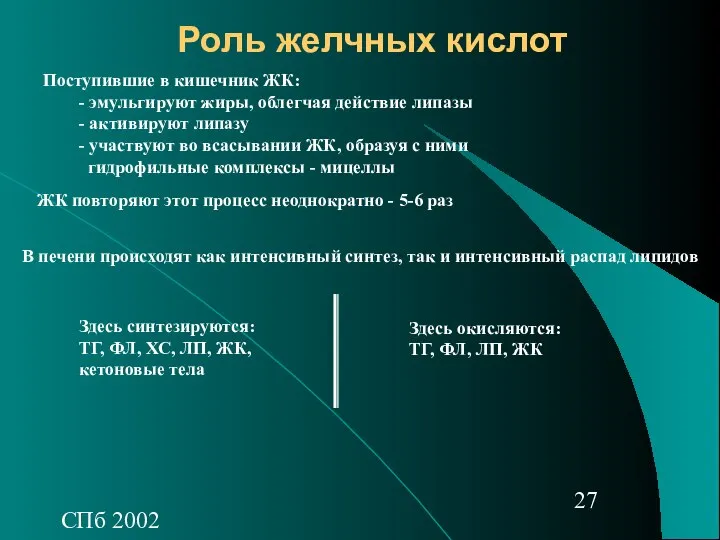 СПб 2002 Роль желчных кислот Поступившие в кишечник ЖК: - эмульгируют