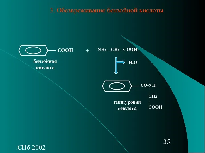 СПб 2002 СООН NH2 – CH2 - COOH + СО-NH |