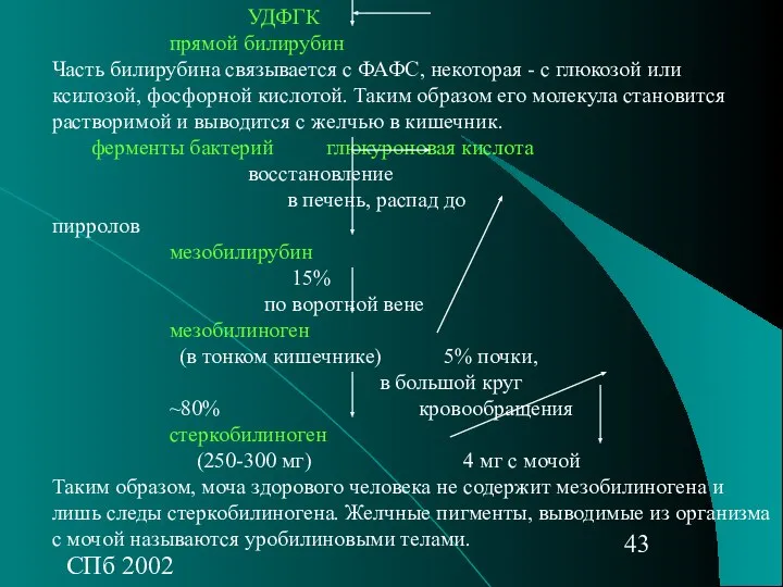 СПб 2002 УДФГК прямой билирубин Часть билирубина связывается с ФАФС, некоторая