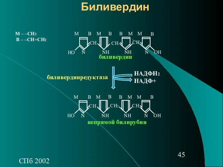 СПб 2002 Биливердин СН СН2 СН ОН НО NН NН N