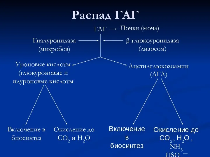 Распад ГАГ