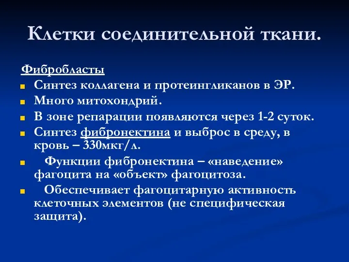 Клетки соединительной ткани. Фибробласты Синтез коллагена и протеингликанов в ЭР. Много