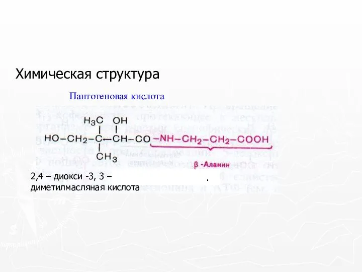 Химическая структура 2,4 – диокси -3, 3 – диметилмасляная кислота Пантотеновая кислота .