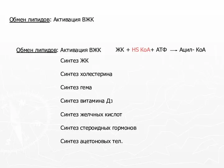 Обмен липидов: Активация ВЖК Обмен липидов: Активация ВЖК Синтез ЖК Синтез