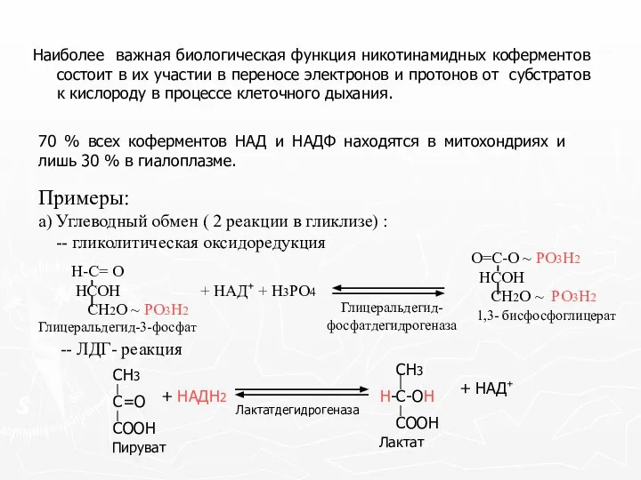 Наиболее важная биологическая функция никотинамидных коферментов состоит в их участии в