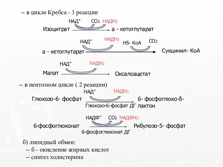 -- в цикле Кребса - 3 реакции -- в пентозном цикле