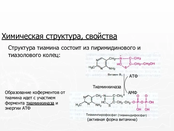 Химическая структура, свойства Структура тиамина состоит из пиримидинового и тиазолового колец: