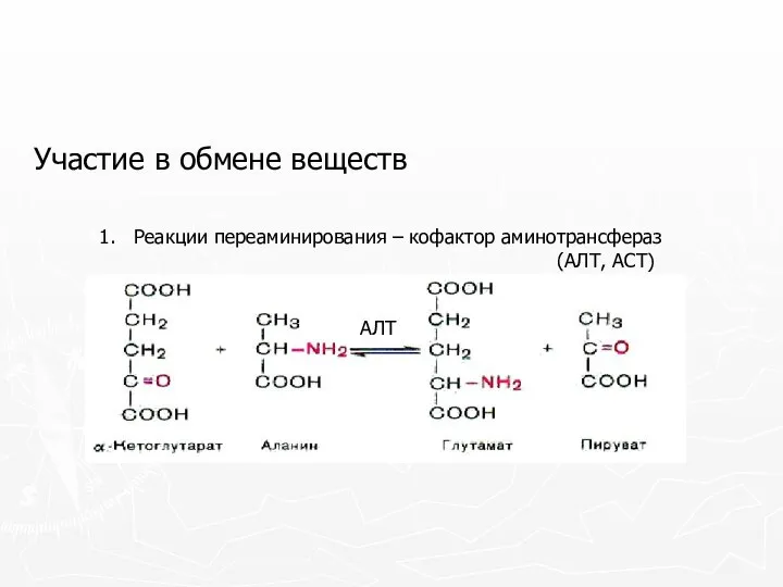 Участие в обмене веществ 1. Реакции переаминирования – кофактор аминотрансфераз (АЛТ, АСТ) АЛТ