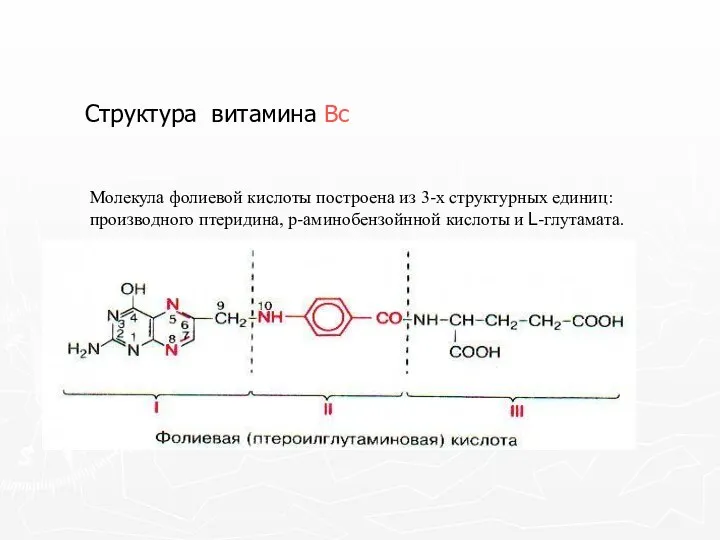 Структура витамина Вс Молекула фолиевой кислоты построена из 3-х структурных единиц: