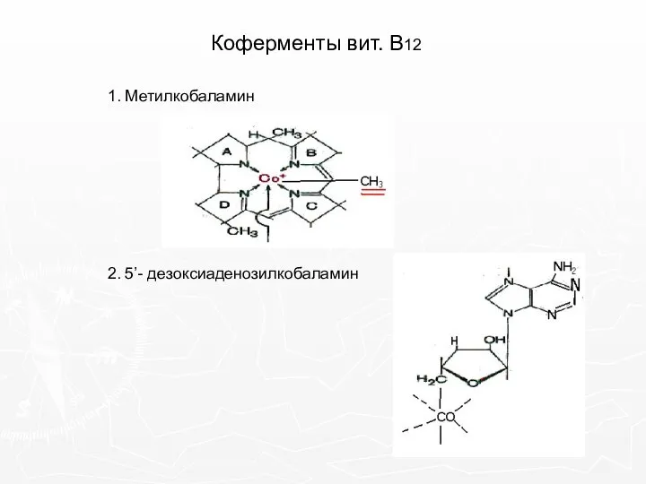 Коферменты вит. В12 1. Метилкобаламин 2. 5’- дезоксиаденозилкобаламин