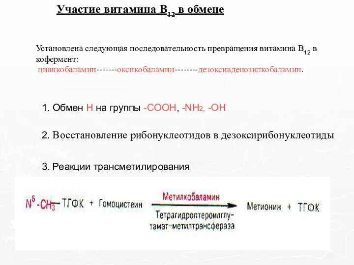 Участие витамина В12 в обмене Установлена следующая последовательность превращения витамина В12