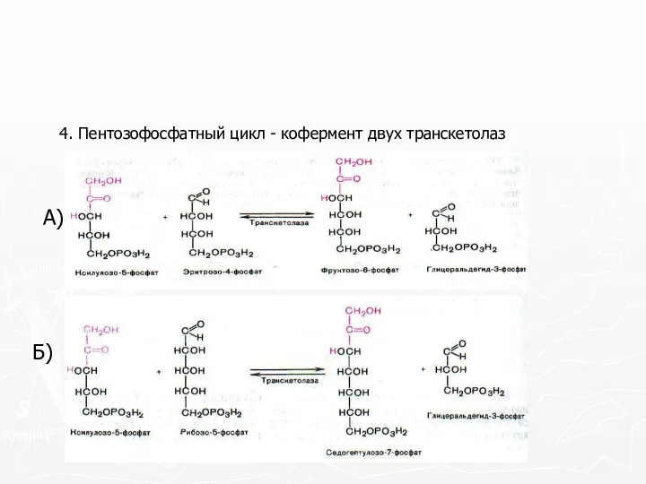 4. Пентозофосфатный цикл - кофермент двух транскетолаз А) Б)