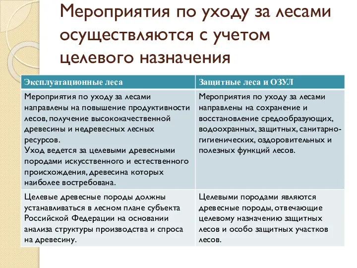 Мероприятия по уходу за лесами осуществляются с учетом целевого назначения