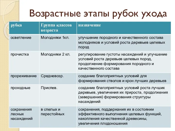 Возрастные этапы рубок ухода