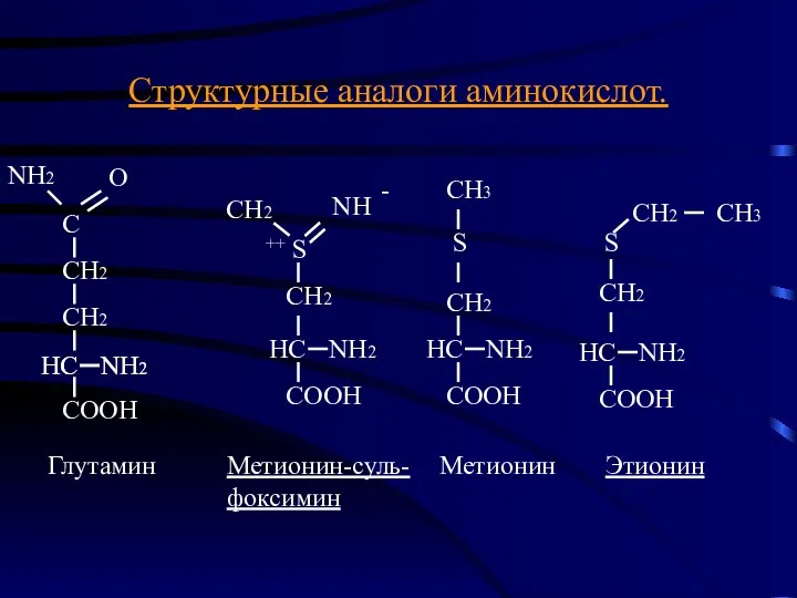 Структурные аналоги аминокислот. Глутамин Метионин-суль- фоксимин Метионин Этионин