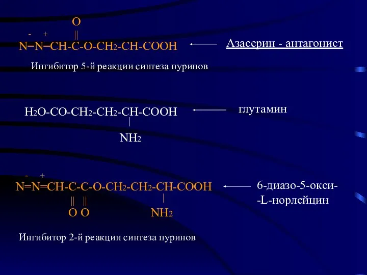 Н2О-СО-СН2-СН2-СН-СООН NH2 | глутамин