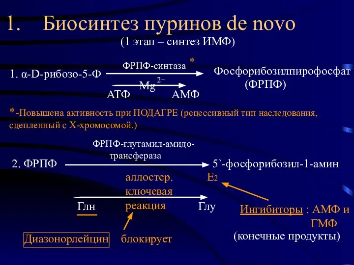 1. Биосинтез пуринов de novo (1 этап – синтез ИМФ) 1.