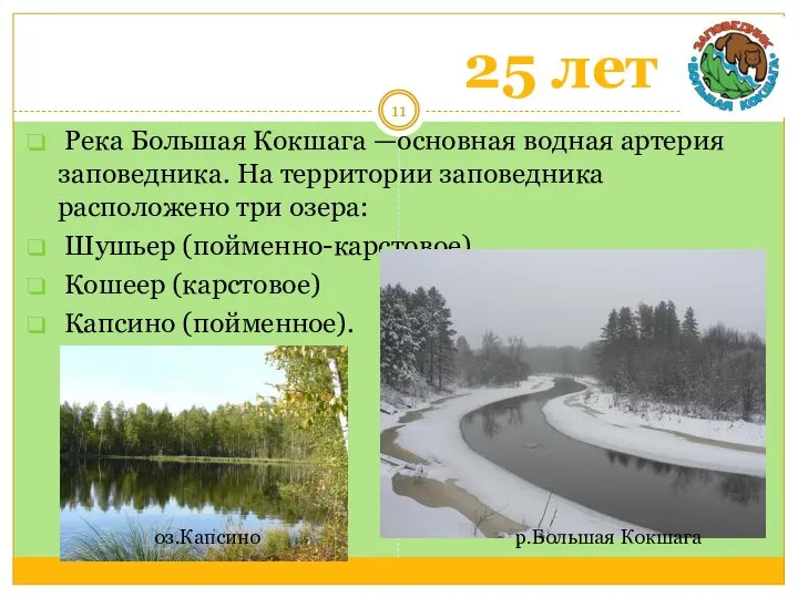 25 лет Река Большая Кокшага —основная водная артерия заповедника. На территории