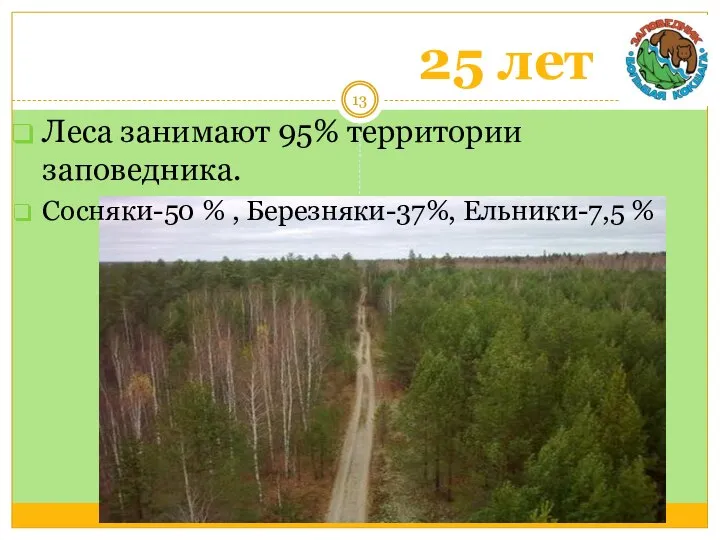 25 лет Леса занимают 95% территории заповедника. Сосняки-50 % , Березняки-37%, Ельники-7,5 %