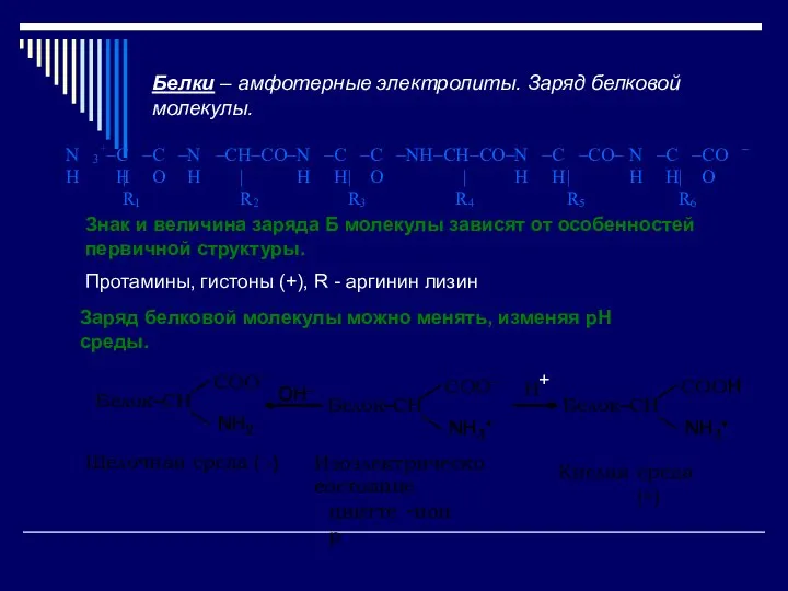 Белки – амфотерные электролиты. Заряд белковой молекулы. Знак и величина заряда