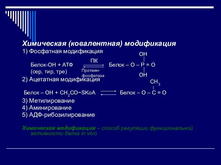 Химическая (ковалентная) модификация 1) Фосфатная модификация 2) Ацетатная модификация 3) Метилирование