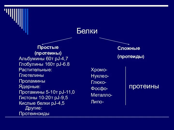 Белки Простые (протеины) Альбумины 60т pJ-4,7 Глобулины 160т pJ-6.8 Растительные: Глютелины