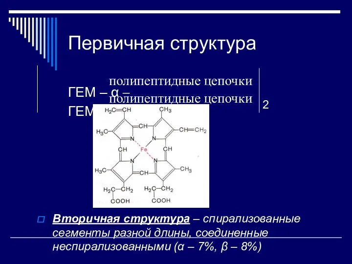 Первичная структура ГЕМ – α – ГЕМ – β – 2