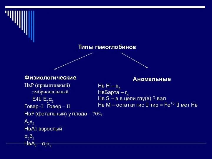 Типы гемоглобинов Физиологические НвР (примитивный) эмбриональный Ε4? Е2α2 Говер–I Говер –