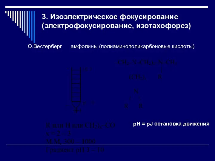 3. Изоэлектрическое фокусирование (электрофокусирование, изотахофорез) pH = pJ остановка движения О.Вестерберг амфолины (полиаминополикарбоновые кислоты)