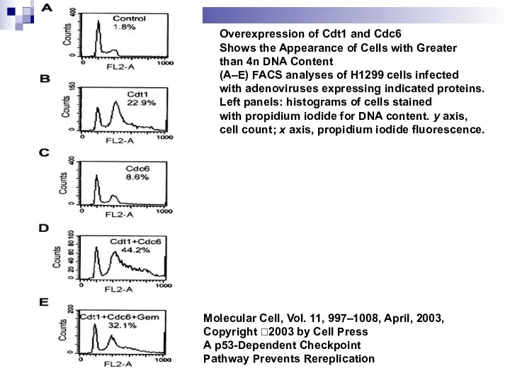 Molecular Cell, Vol. 11, 997–1008, April, 2003, Copyright 2003 by Cell