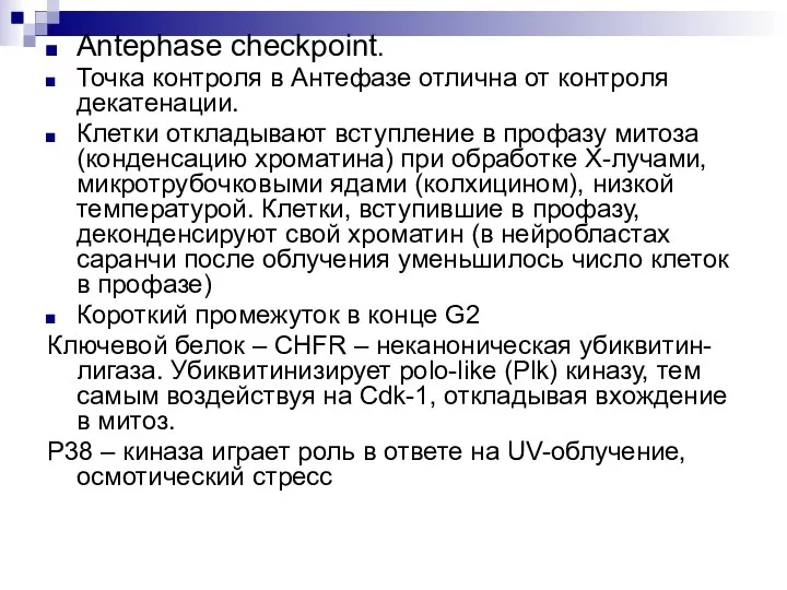 Antephase checkpoint. Точка контроля в Антефазе отлична от контроля декатенации. Клетки