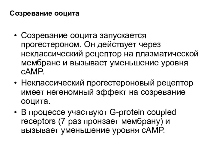 Созревание ооцита запускается прогестероном. Он действует через неклассический рецептор на плазматической