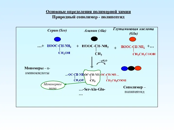 Основные определения полимерной химии Природный сополимер - полипептид
