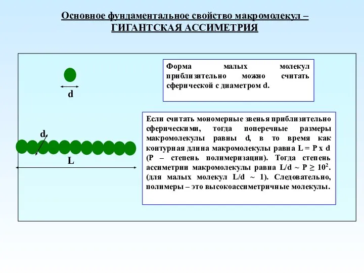 Основное фундаментальное свойство макромолекул – ГИГАНТСКАЯ АССИМЕТРИЯ