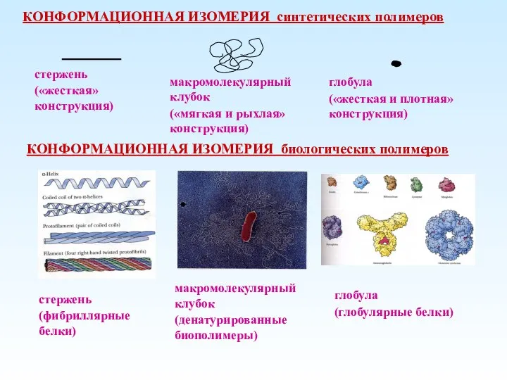 КОНФОРМАЦИОННАЯ ИЗОМЕРИЯ синтетических полимеров КОНФОРМАЦИОННАЯ ИЗОМЕРИЯ биологических полимеров макромолекулярный клубок (денатурированные