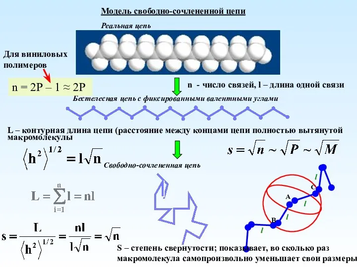 Модель свободно-сочлененной цепи Реальная цепь Бестелесная цепь с фиксированными валентными углами