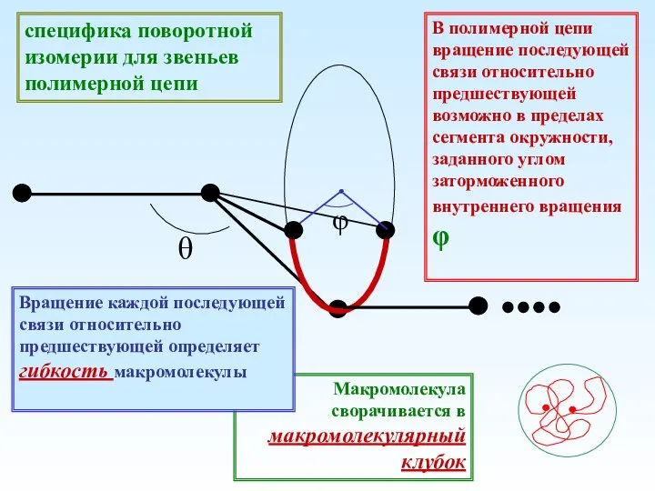 специфика поворотной изомерии для звеньев полимерной цепи В полимерной цепи вращение