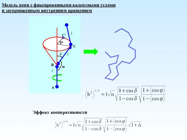 Модель цепи с фиксированными валентными углами и заторможенным внутренним вращением Эффект кооперативности
