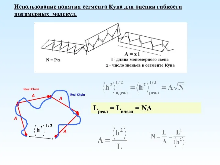 Использование понятия сегмента Куна для оценки гибкости полимерных молекул. = Lреал = Lидеал = NA
