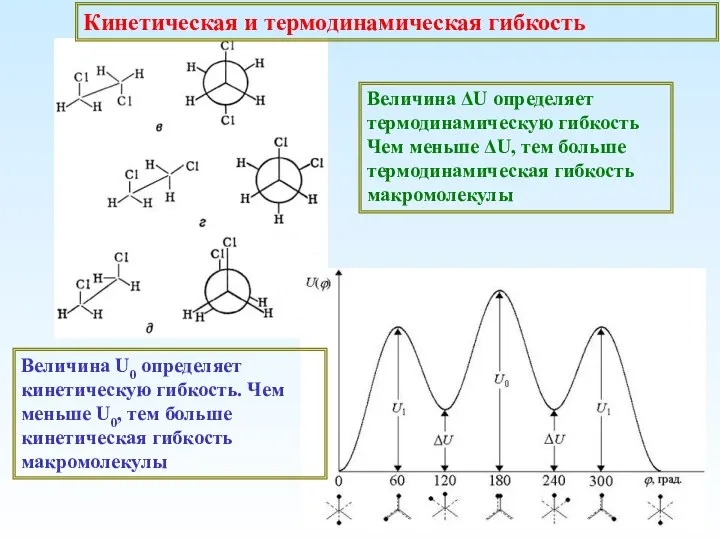 Величина ΔU определяет термодинамическую гибкость Чем меньше ΔU, тем больше термодинамическая