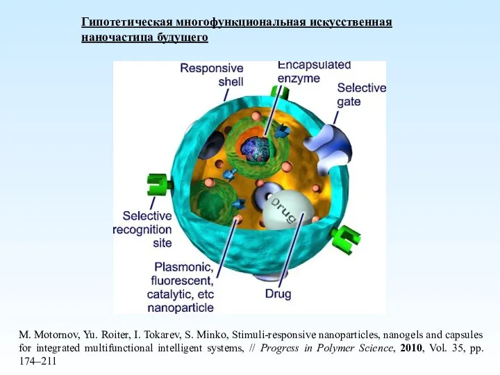 Гипотетическая многофункциональная искусственная наночастица будущего M. Motornov, Yu. Roiter, I. Tokarev,