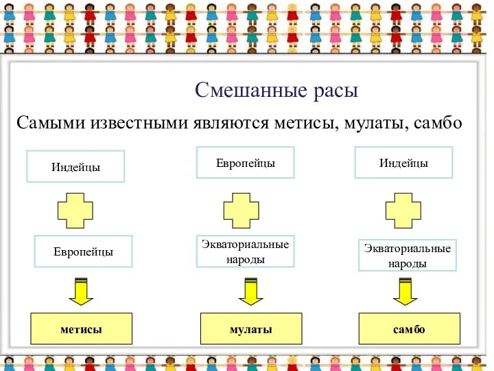 Смешанные расы Самыми известными являются метисы, мулаты, самбо Индейцы Европейцы Индейцы