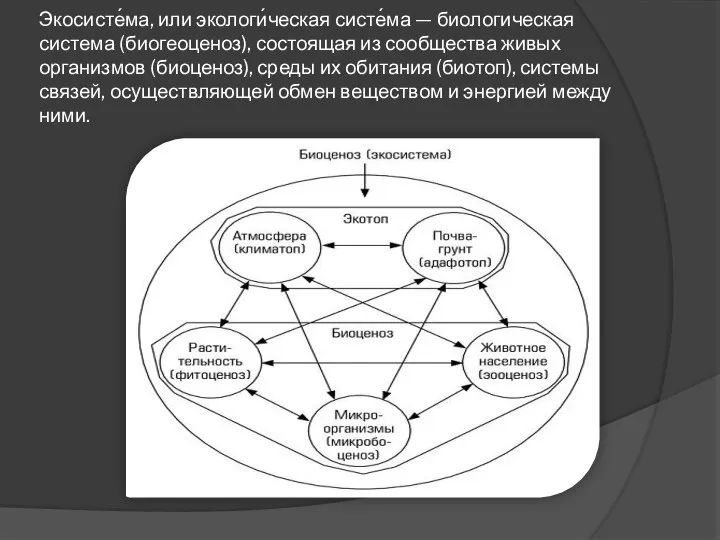 Экосисте́ма, или экологи́ческая систе́ма — биологическая система (биогеоценоз), состоящая из сообщества