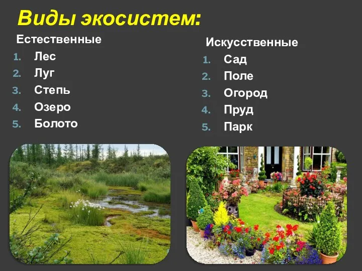 Виды экосистем: Естественные Лес Луг Степь Озеро Болото Искусственные Сад Поле Огород Пруд Парк