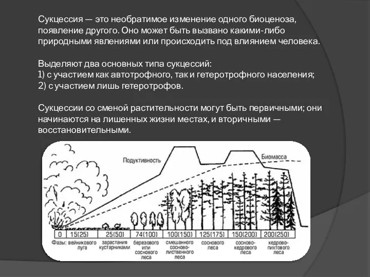 Сукцессия — это необратимое изменение одного биоценоза, появление другого. Оно может