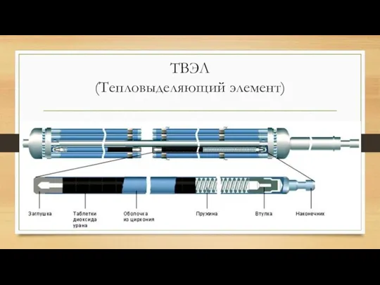 ТВЭЛ (Тепловыделяющий элемент)