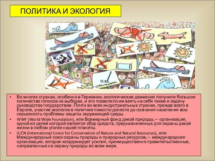 ПОЛИТИКА И ЭКОЛОГИЯ Во многих странах, особенно в Германии, экологические движения