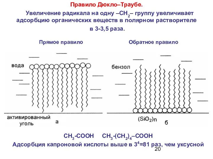 Правило Дюкло–Траубе. Увеличение радикала на одну –СН2– группу увеличивает адсорбцию органических