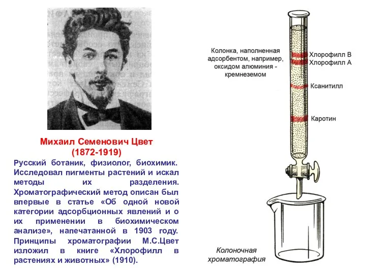 Михаил Семенович Цвет (1872-1919) Русский ботаник, физиолог, биохимик. Исследовал пигменты растений