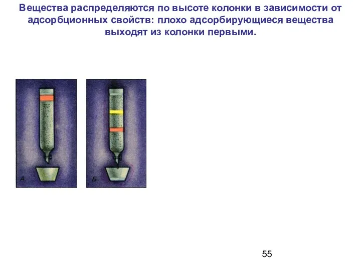 Вещества распределяются по высоте колонки в зависимости от адсорбционных свойств: плохо